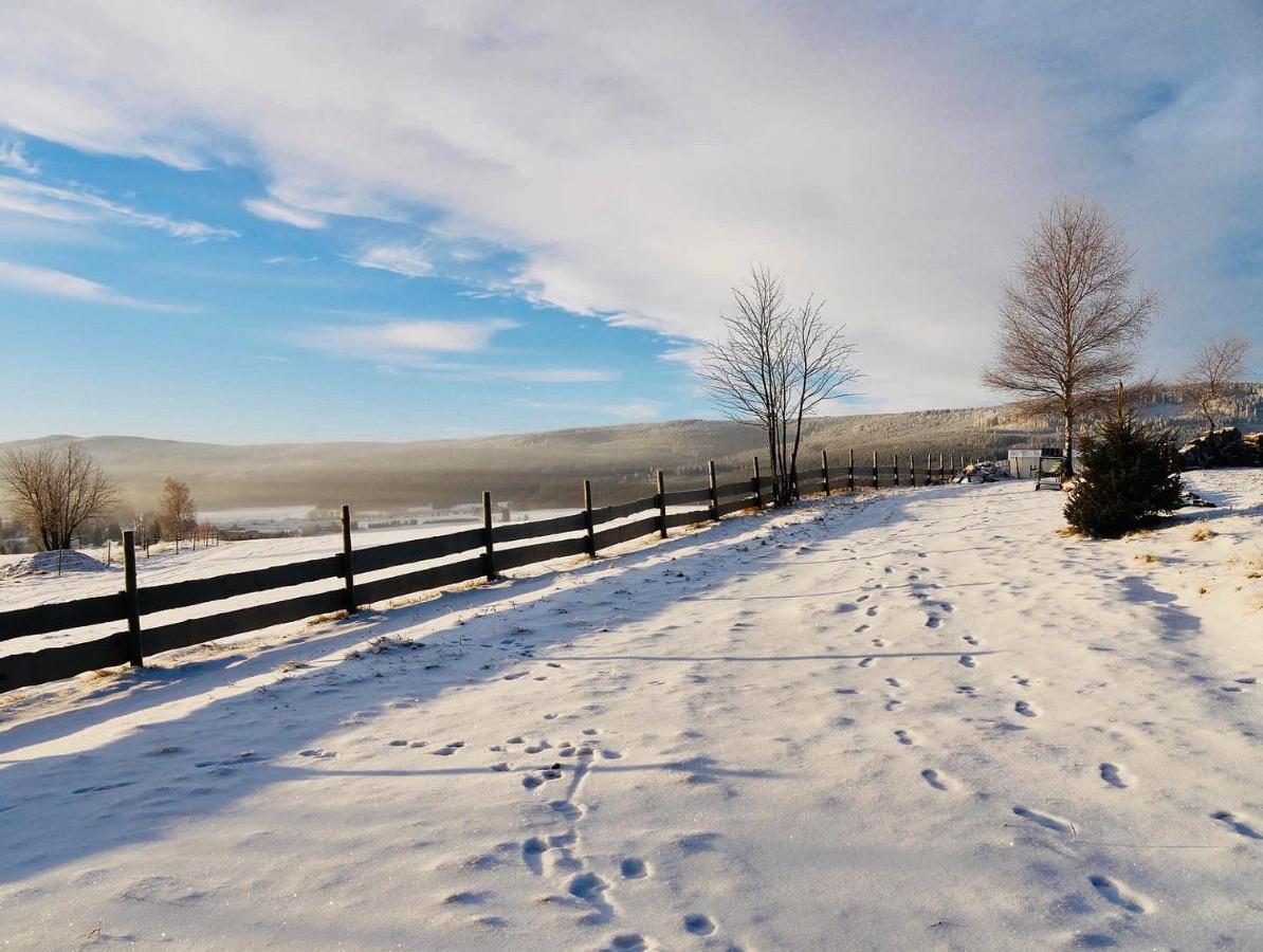 Wzgorze Owiec Sheep Hill Mostowice 외부 사진