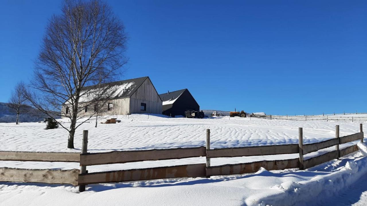 Wzgorze Owiec Sheep Hill Mostowice 외부 사진