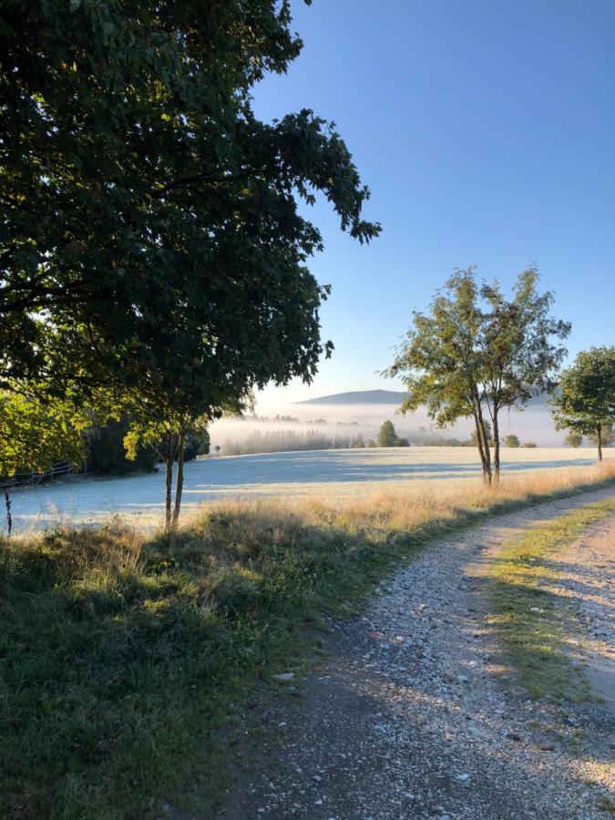Wzgorze Owiec Sheep Hill Mostowice 외부 사진