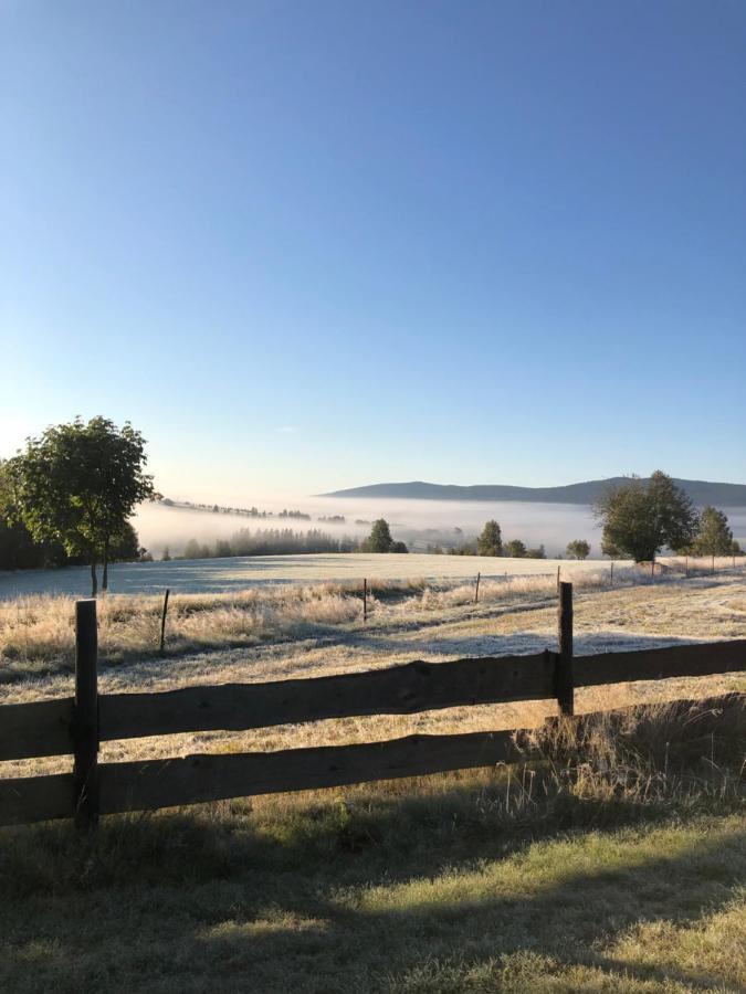 Wzgorze Owiec Sheep Hill Mostowice 외부 사진