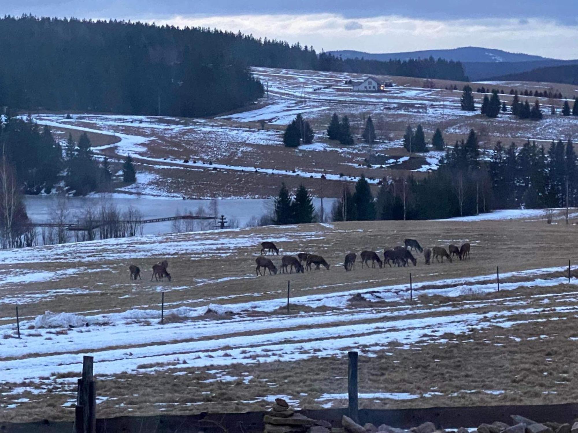 Wzgorze Owiec Sheep Hill Mostowice 외부 사진